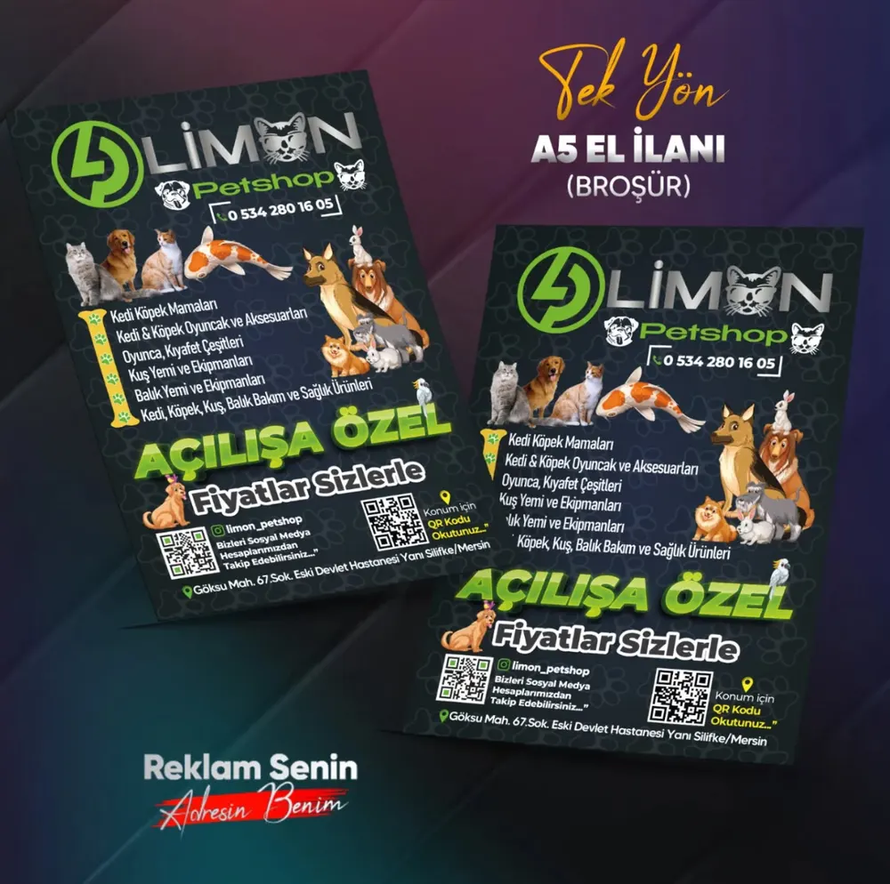 El İlanı A3 115 Gr. Kuşe TEK YÖN Renkli (2000 Adet)